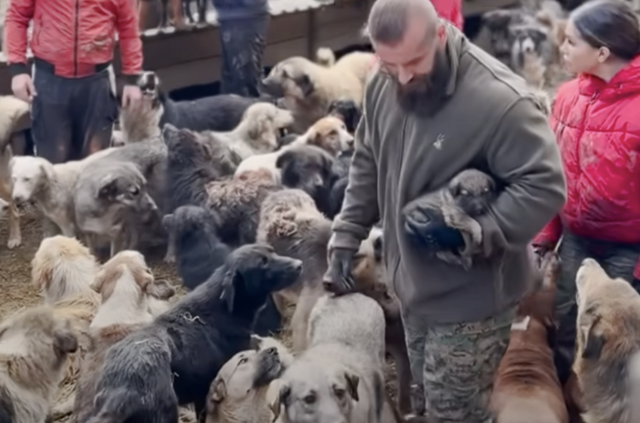 One Dog Transformed a Man’s Life and Sparked a Movement